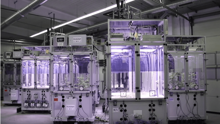 EcoXtreme - Joint Experiment of AquaDiva