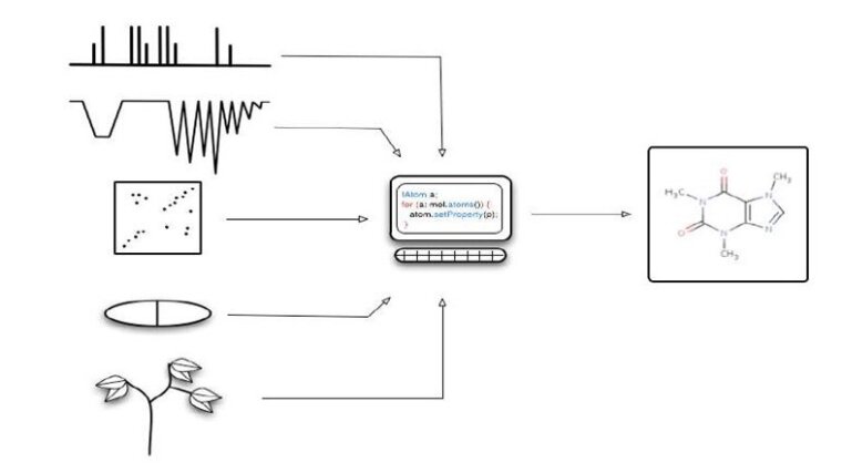 Computer-assisted structure elucidation (CASE)