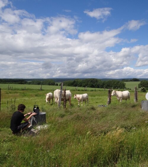 Fieldwork Hainich CZE