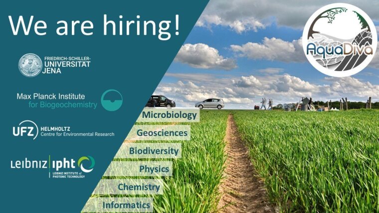 We are hiring!